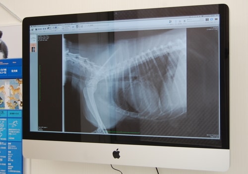 OsiriX